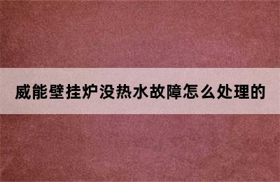 威能壁挂炉没热水故障怎么处理的