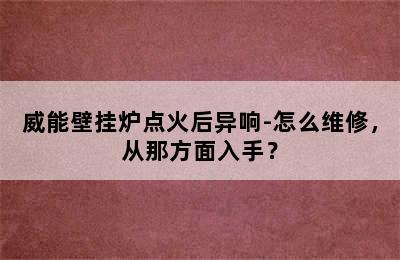 威能壁挂炉点火后异响-怎么维修，从那方面入手？