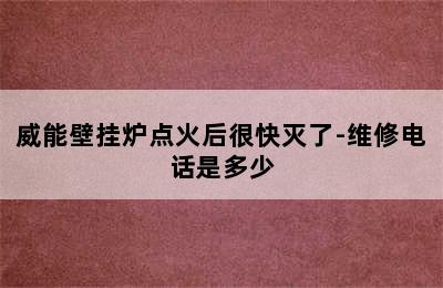 威能壁挂炉点火后很快灭了-维修电话是多少