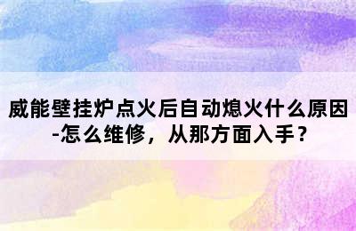 威能壁挂炉点火后自动熄火什么原因-怎么维修，从那方面入手？