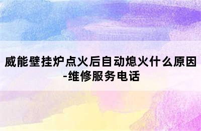 威能壁挂炉点火后自动熄火什么原因-维修服务电话