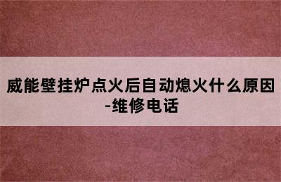 威能壁挂炉点火后自动熄火什么原因-维修电话