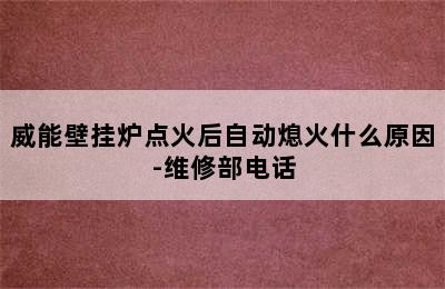 威能壁挂炉点火后自动熄火什么原因-维修部电话