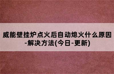 威能壁挂炉点火后自动熄火什么原因-解决方法(今日-更新)