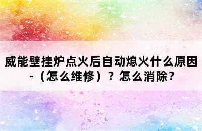 威能壁挂炉点火后自动熄火什么原因-（怎么维修）？怎么消除？