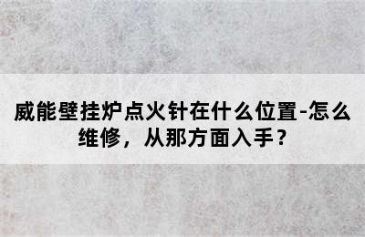 威能壁挂炉点火针在什么位置-怎么维修，从那方面入手？