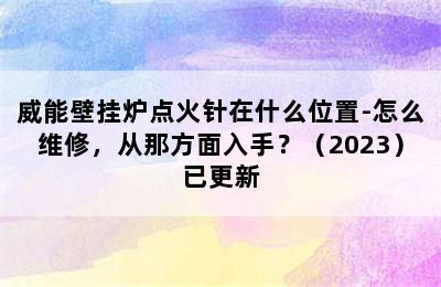 威能壁挂炉点火针在什么位置-怎么维修，从那方面入手？（2023）已更新