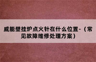 威能壁挂炉点火针在什么位置-（常见故障维修处理方案）