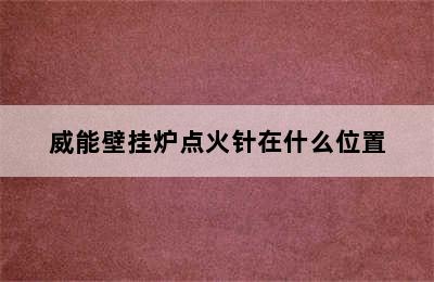 威能壁挂炉点火针在什么位置