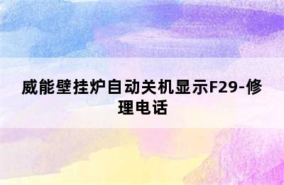 威能壁挂炉自动关机显示F29-修理电话