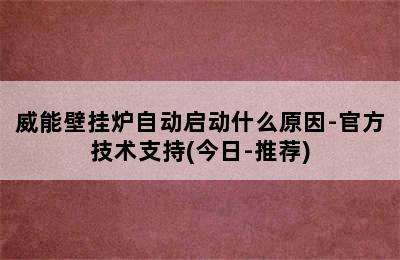 威能壁挂炉自动启动什么原因-官方技术支持(今日-推荐)