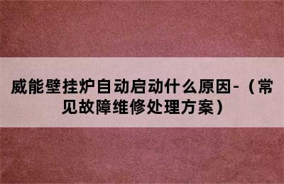 威能壁挂炉自动启动什么原因-（常见故障维修处理方案）