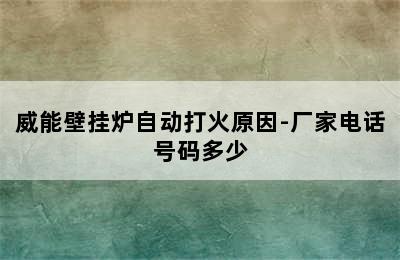 威能壁挂炉自动打火原因-厂家电话号码多少