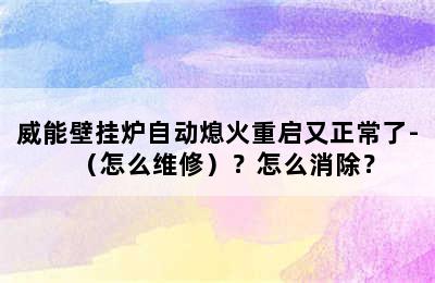 威能壁挂炉自动熄火重启又正常了-（怎么维修）？怎么消除？