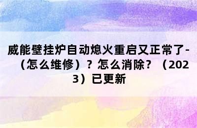 威能壁挂炉自动熄火重启又正常了-（怎么维修）？怎么消除？（2023）已更新