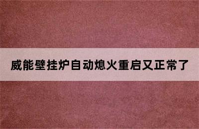 威能壁挂炉自动熄火重启又正常了