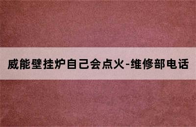 威能壁挂炉自己会点火-维修部电话