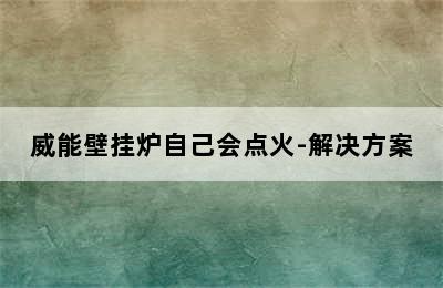 威能壁挂炉自己会点火-解决方案