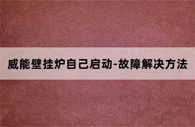 威能壁挂炉自己启动-故障解决方法