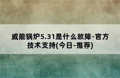 威能锅炉5.31是什么故障-官方技术支持(今日-推荐)