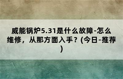 威能锅炉5.31是什么故障-怎么维修，从那方面入手？(今日-推荐)