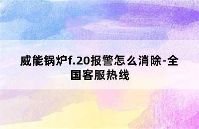 威能锅炉f.20报警怎么消除-全国客服热线