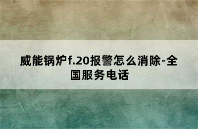 威能锅炉f.20报警怎么消除-全国服务电话