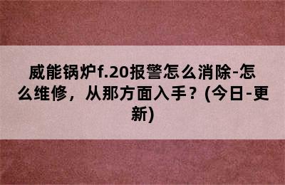 威能锅炉f.20报警怎么消除-怎么维修，从那方面入手？(今日-更新)