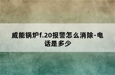 威能锅炉f.20报警怎么消除-电话是多少