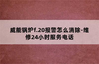 威能锅炉f.20报警怎么消除-维修24小时服务电话