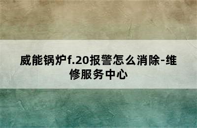 威能锅炉f.20报警怎么消除-维修服务中心