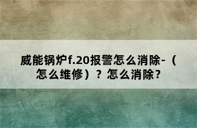 威能锅炉f.20报警怎么消除-（怎么维修）？怎么消除？