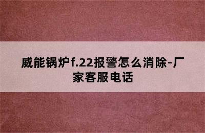 威能锅炉f.22报警怎么消除-厂家客服电话