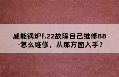 威能锅炉f.22故障自己维修88-怎么维修，从那方面入手？