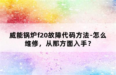 威能锅炉f20故障代码方法-怎么维修，从那方面入手？