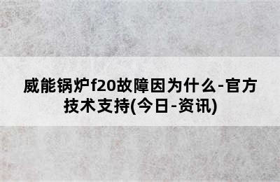 威能锅炉f20故障因为什么-官方技术支持(今日-资讯)