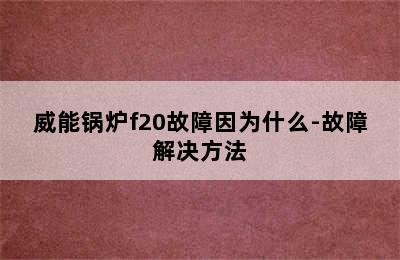 威能锅炉f20故障因为什么-故障解决方法