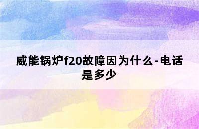 威能锅炉f20故障因为什么-电话是多少