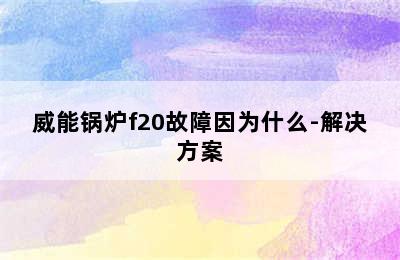 威能锅炉f20故障因为什么-解决方案