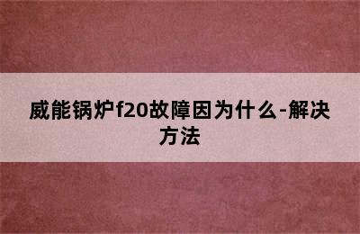 威能锅炉f20故障因为什么-解决方法