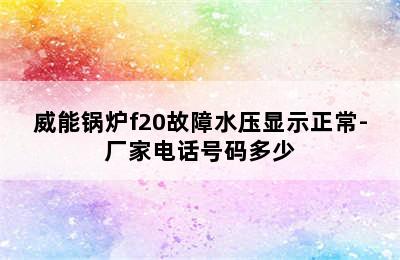 威能锅炉f20故障水压显示正常-厂家电话号码多少