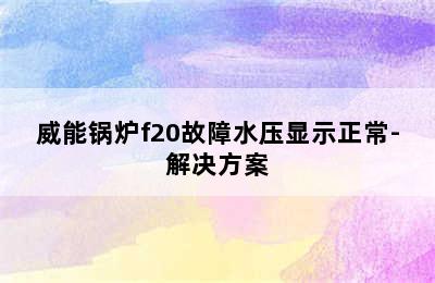 威能锅炉f20故障水压显示正常-解决方案