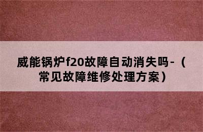 威能锅炉f20故障自动消失吗-（常见故障维修处理方案）