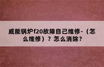 威能锅炉f20故障自己维修-（怎么维修）？怎么消除？