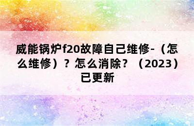 威能锅炉f20故障自己维修-（怎么维修）？怎么消除？（2023）已更新