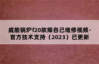 威能锅炉f20故障自己维修视频-官方技术支持（2023）已更新