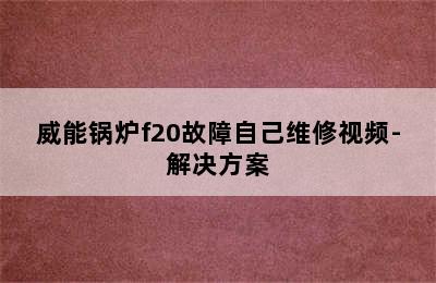 威能锅炉f20故障自己维修视频-解决方案