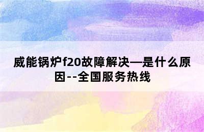 威能锅炉f20故障解决—是什么原因--全国服务热线