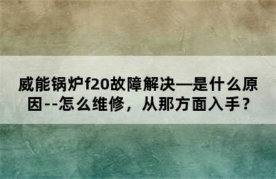 威能锅炉f20故障解决—是什么原因--怎么维修，从那方面入手？