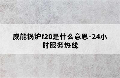 威能锅炉f20是什么意思-24小时服务热线